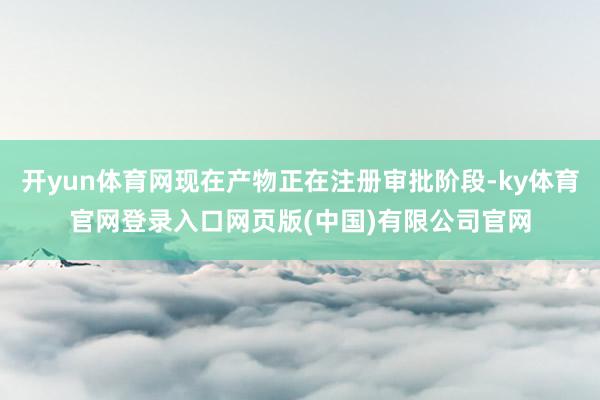 开yun体育网现在产物正在注册审批阶段-ky体育官网登录入口网页版(中国)有限公司官网