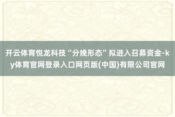 开云体育悦龙科技“分娩形态”拟进入召募资金-ky体育官网登录入口网页版(中国)有限公司官网